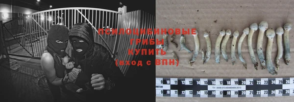 мет Ветлуга