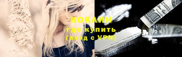 дмт Аркадак