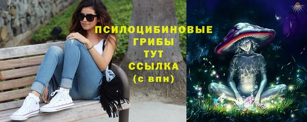 дмт Аркадак