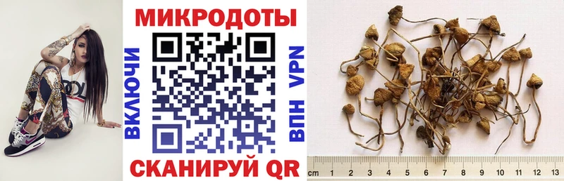 Галлюциногенные грибы мухоморы Туймазы
